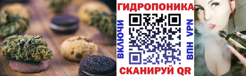 Canna-Cookies марихуана  магазин продажи наркотиков  Ковылкино 