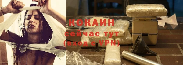 ГАЛЛЮЦИНОГЕННЫЕ ГРИБЫ Горняк