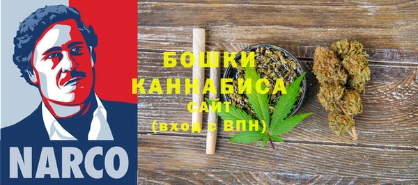 ГАЛЛЮЦИНОГЕННЫЕ ГРИБЫ Горняк