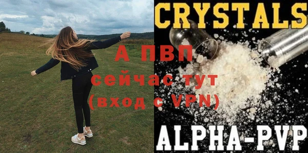 ГАЛЛЮЦИНОГЕННЫЕ ГРИБЫ Горняк