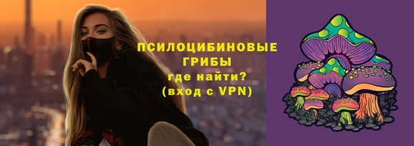 ГАЛЛЮЦИНОГЕННЫЕ ГРИБЫ Горняк