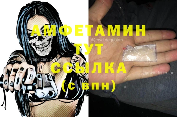 ГАЛЛЮЦИНОГЕННЫЕ ГРИБЫ Горняк