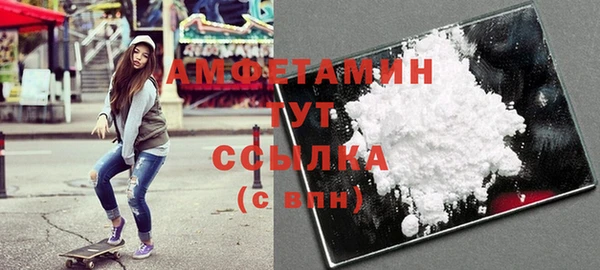 ГАЛЛЮЦИНОГЕННЫЕ ГРИБЫ Горняк