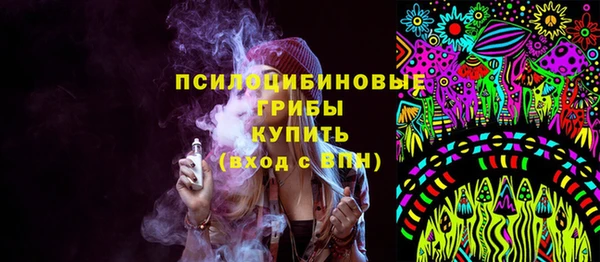 СК Горнозаводск