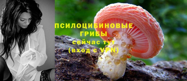 СК Горнозаводск