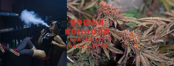 ГАЛЛЮЦИНОГЕННЫЕ ГРИБЫ Горняк