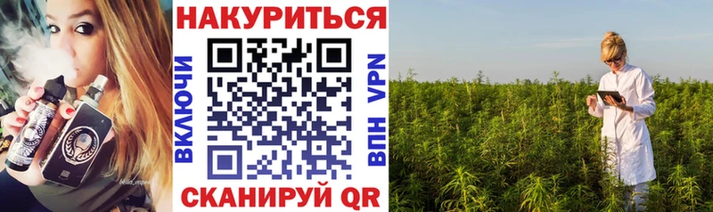 закладка  Ковылкино  Каннабис OG Kush 